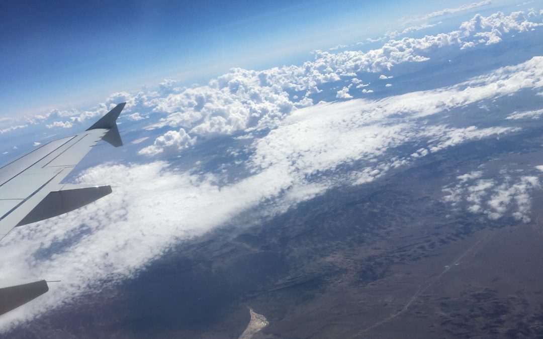The Fly Out?
