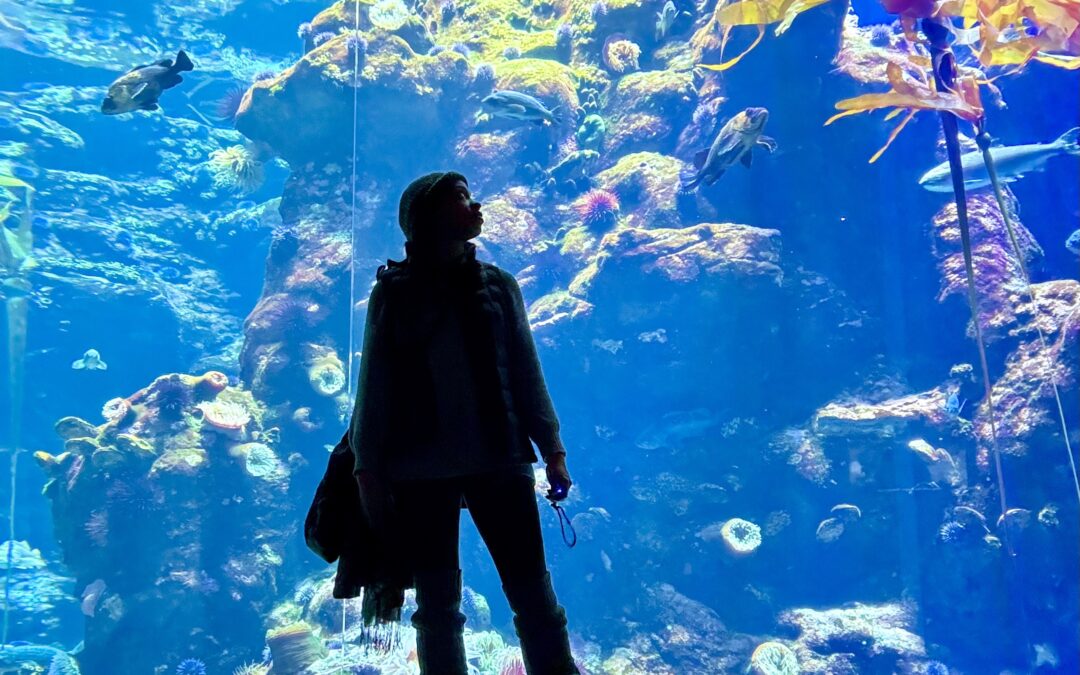 Kai’s Word of the Day – October 3, 2025