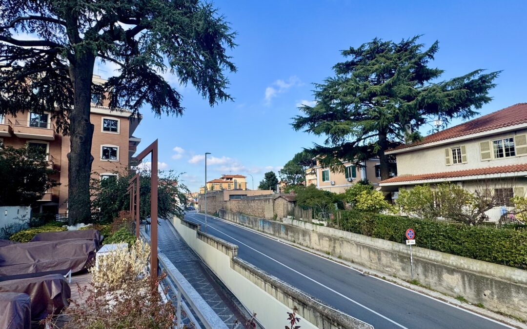 Kai’s Word of the Day – December 29, 2025